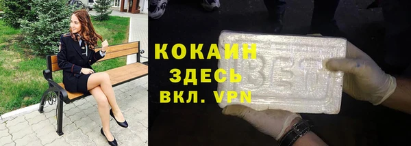 гашик Михайлов