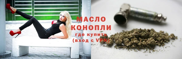 гашик Михайлов