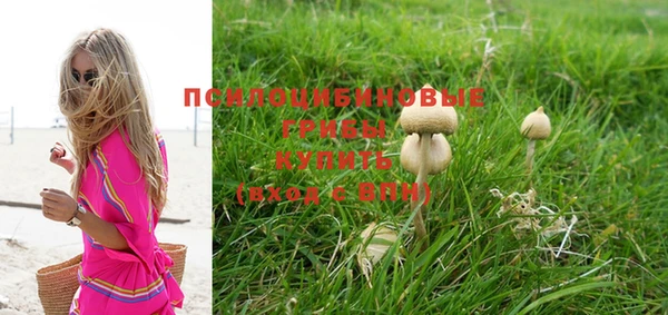 каннабис Михайловка