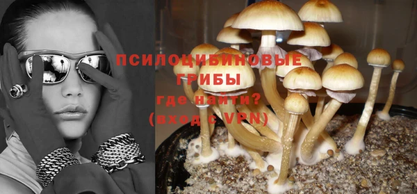 гашик Михайлов