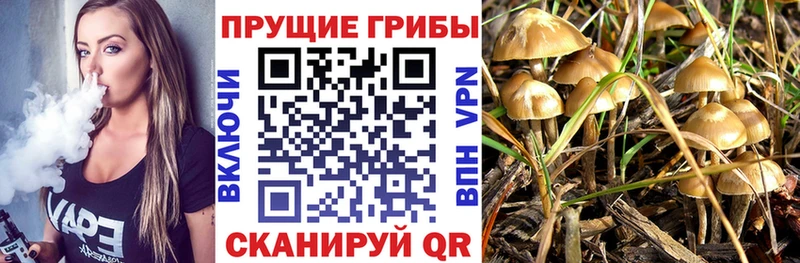 Псилоцибиновые грибы мухоморы  Ульяновск 
