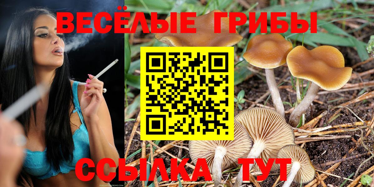 Псилоцибиновые грибы мухоморы  Псилоцибиновые грибы Psilocybe  Вход с VPN  Ульяновск 